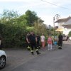img_1354
